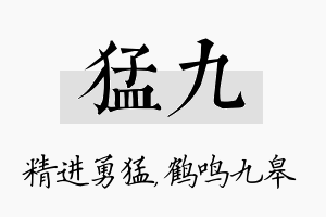 猛九名字的寓意及含义