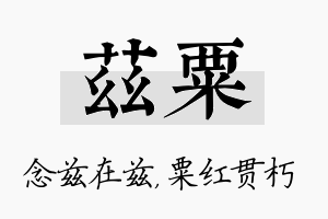 兹粟名字的寓意及含义