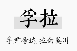 孚拉名字的寓意及含义