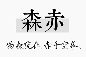 森赤名字的寓意及含义