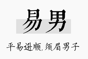 易男名字的寓意及含义