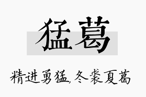 猛葛名字的寓意及含义