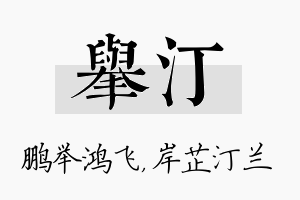 举汀名字的寓意及含义