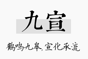 九宣名字的寓意及含义