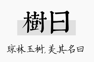 树曰名字的寓意及含义