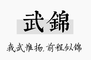 武锦名字的寓意及含义