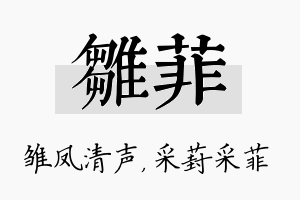 雏菲名字的寓意及含义