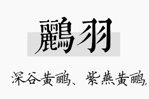 鹂羽名字的寓意及含义