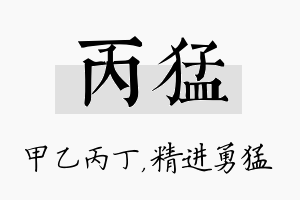 丙猛名字的寓意及含义