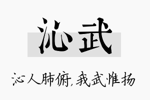 沁武名字的寓意及含义