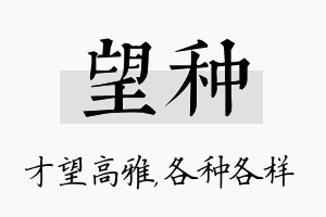 望种名字的寓意及含义