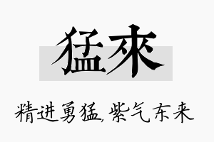 猛来名字的寓意及含义