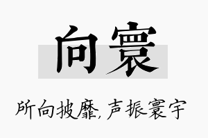 向寰名字的寓意及含义