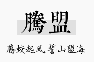 腾盟名字的寓意及含义