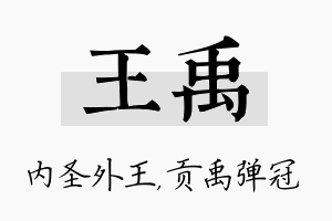 王禹名字的寓意及含义