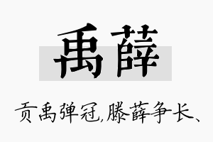 禹薛名字的寓意及含义