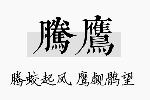 腾鹰名字的寓意及含义