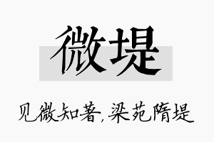 微堤名字的寓意及含义