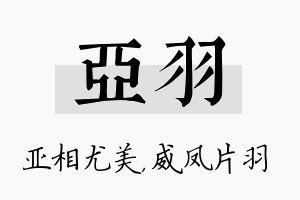 亚羽名字的寓意及含义