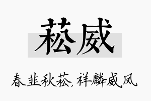 菘威名字的寓意及含义