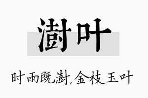 澍叶名字的寓意及含义