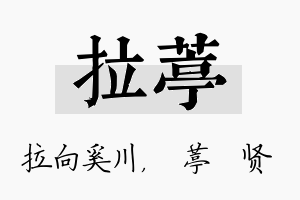 拉葶名字的寓意及含义