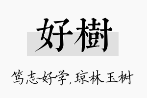 好树名字的寓意及含义