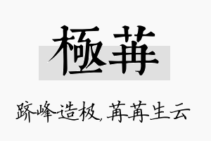 极苒名字的寓意及含义