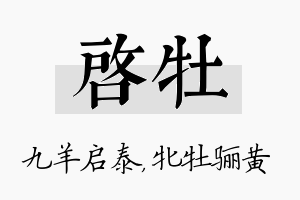 启牡名字的寓意及含义