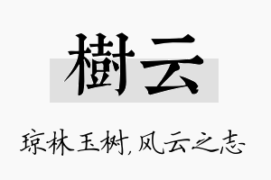 树云名字的寓意及含义