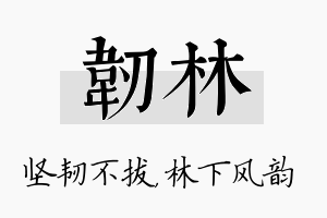 韧林名字的寓意及含义