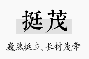 挺茂名字的寓意及含义