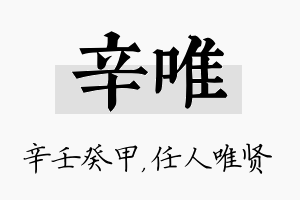 辛唯名字的寓意及含义