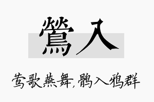 莺入名字的寓意及含义