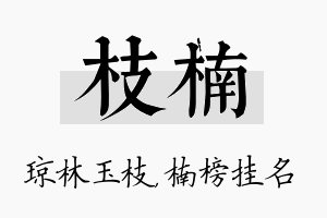 枝楠名字的寓意及含义