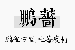 鹏蔷名字的寓意及含义