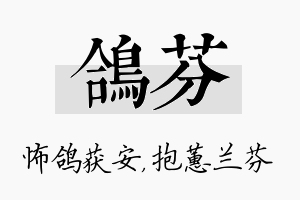 鸽芬名字的寓意及含义