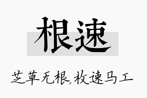 根速名字的寓意及含义