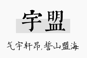 宇盟名字的寓意及含义