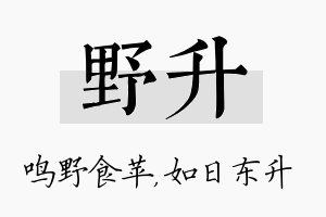 野升名字的寓意及含义