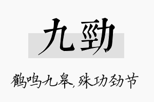 九劲名字的寓意及含义